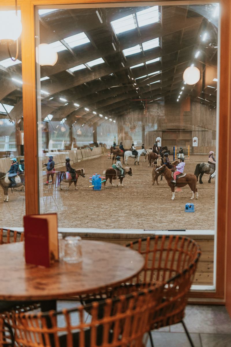 Une table face au manège, cavaliers à l’entraînement